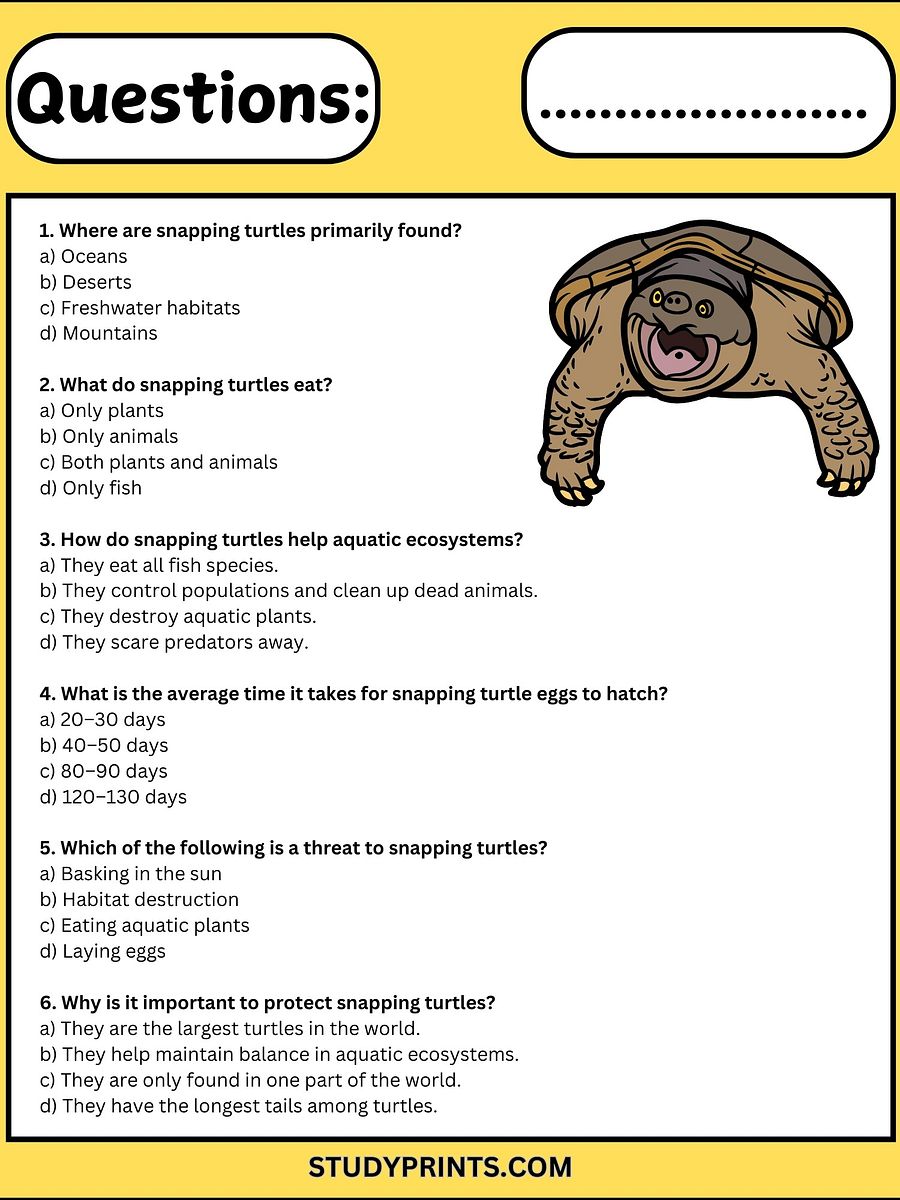 Snapping Turtle Reading Comprehension Passage with Questions product image (3)