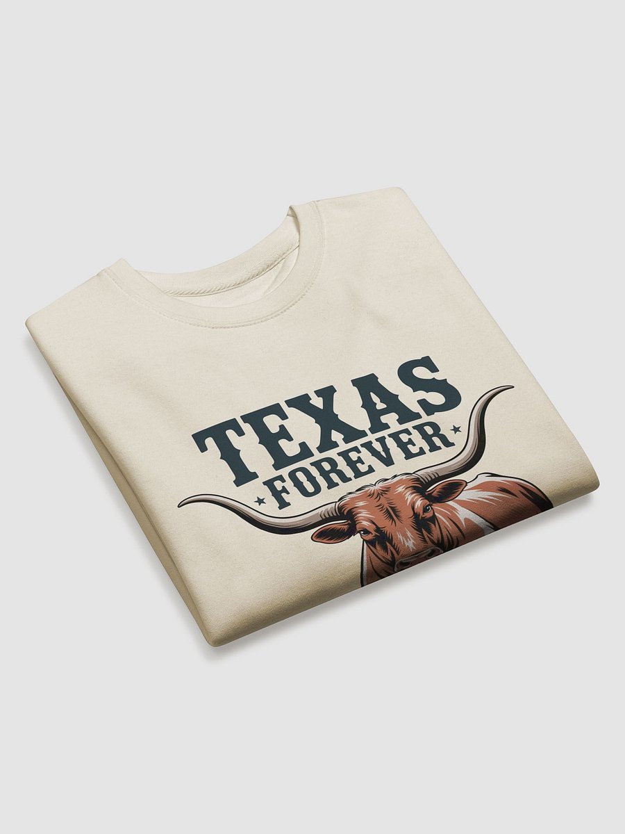 Texas Forever Sweater product image (23)