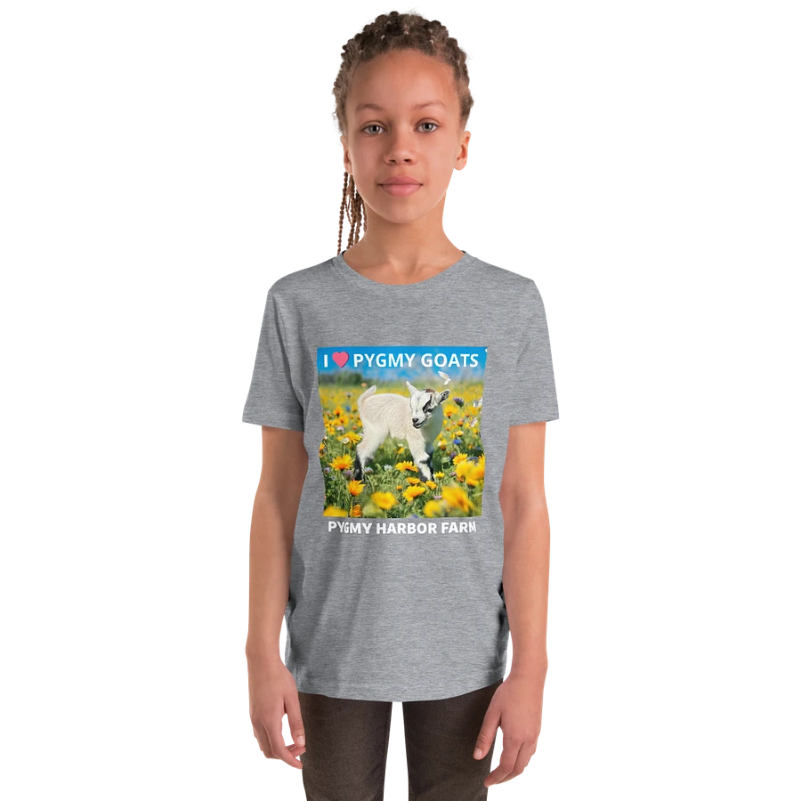 I LOVE PYGMY GOATS YOUTH T-SHIRT product image (14)