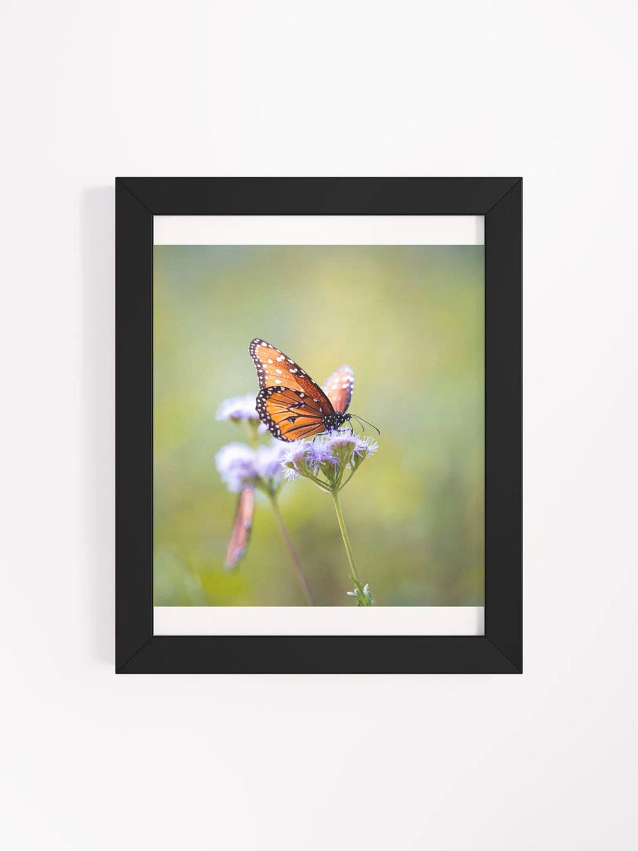 Butterfly In Light product image (31)