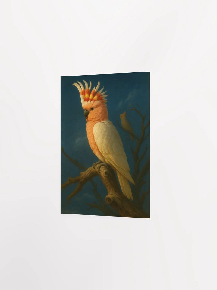 Pink Cockatoo product image (4)