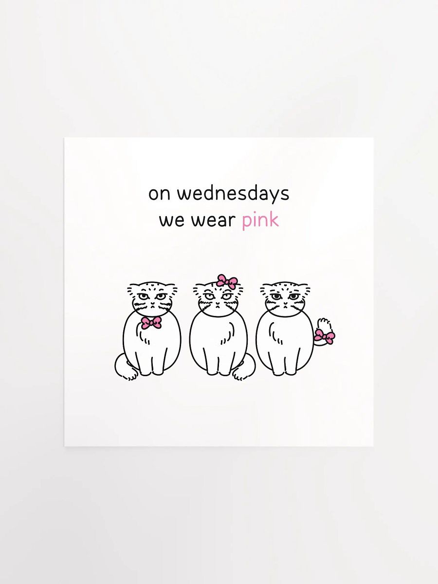 Pink Wednesdays Manul - Matte Poster product image (1)