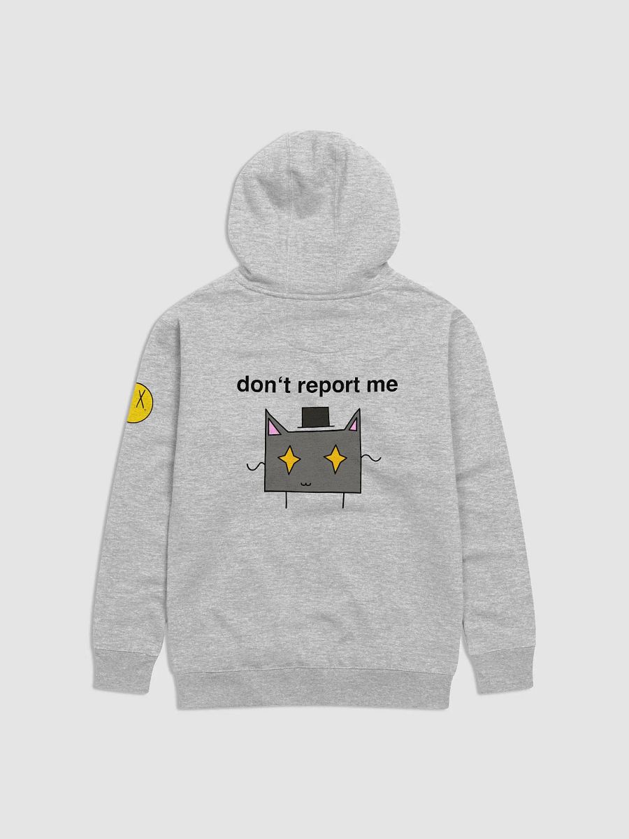 DRP Hoodie product image (2)