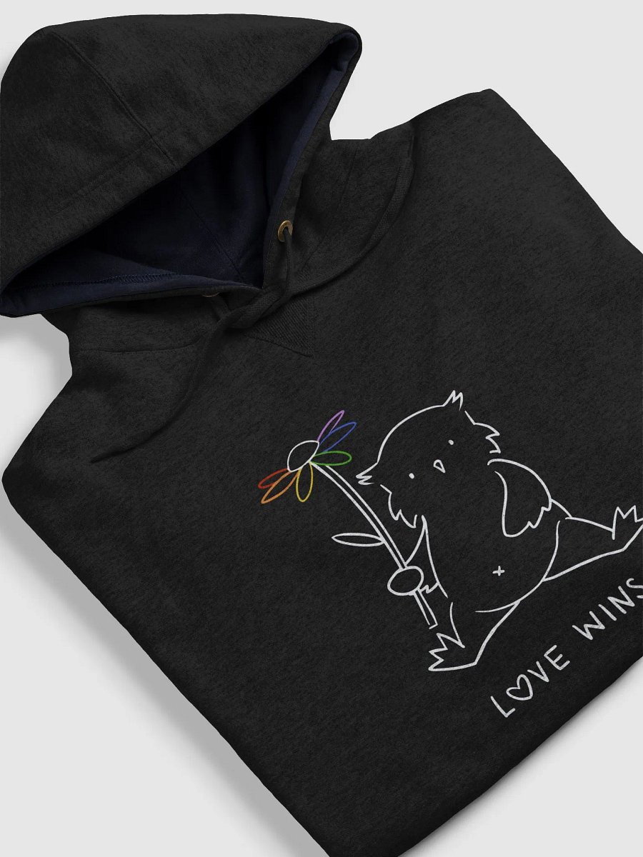 Love Wins Champion Cotton Max Hoodie (Black) product image (12)