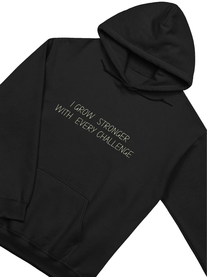 Minimalist Hoodie- Black product image (2)