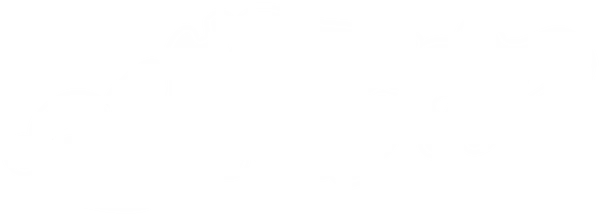E-Motion Logo