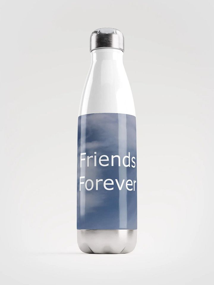 Friends Forever Water Bottle product image (1)