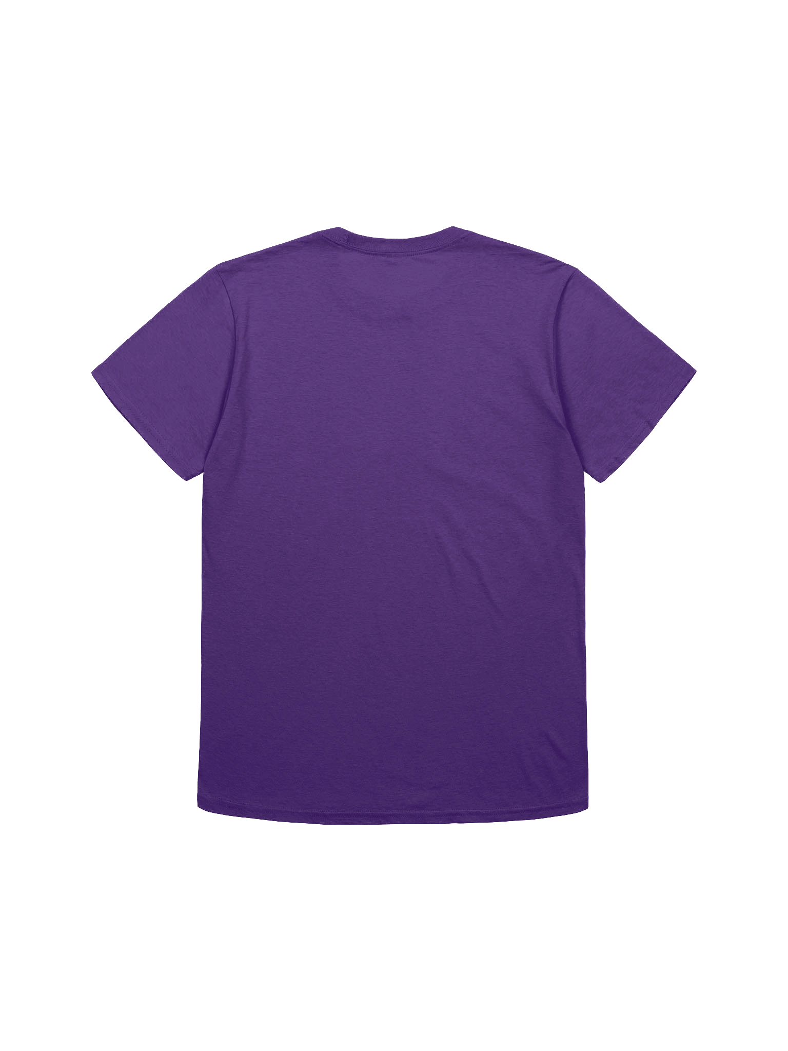 Gar the Great I Want Attention T-Shirt product image (22)