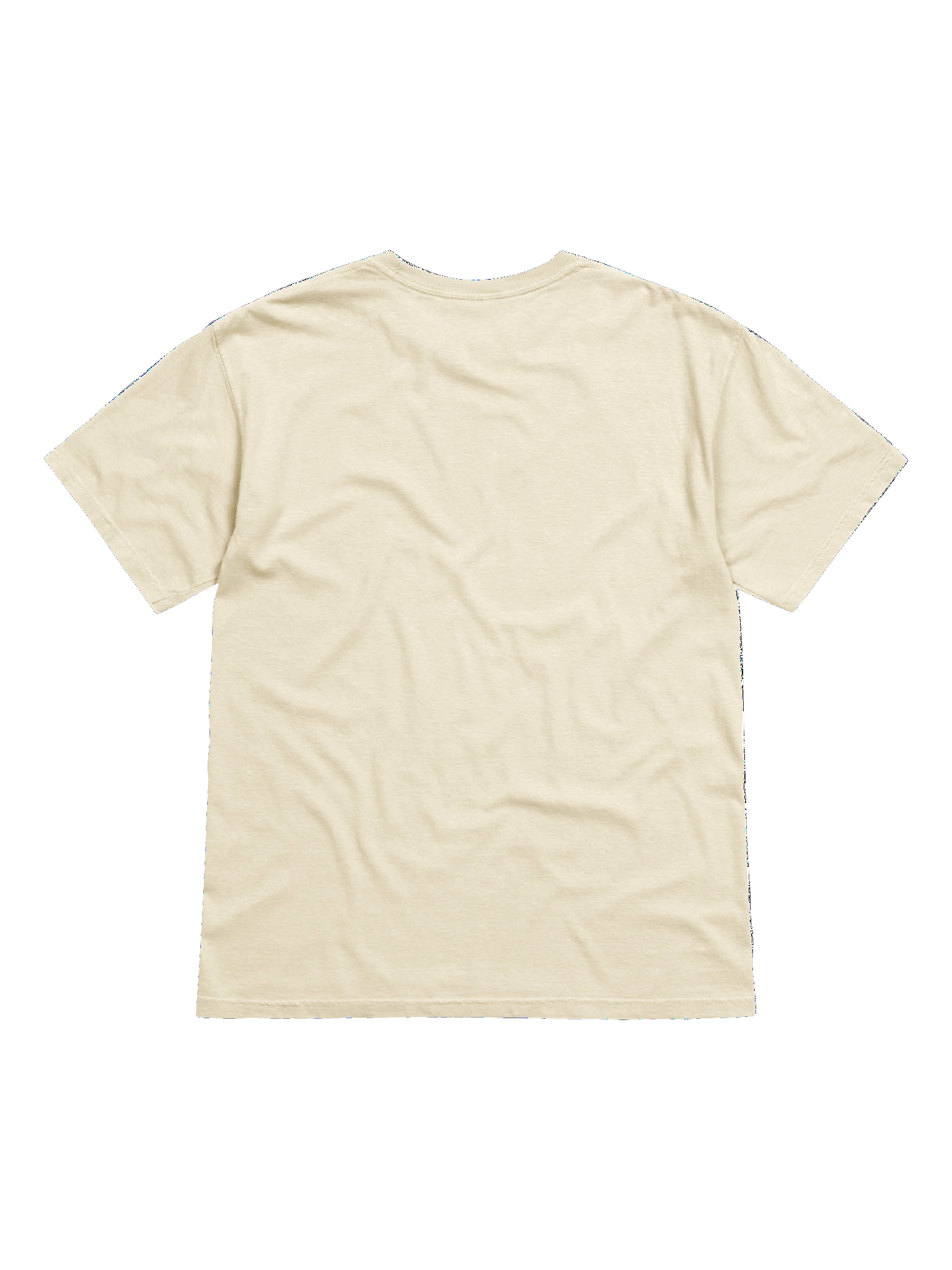 VICE🔃VERSA T-Shirt product image (2)