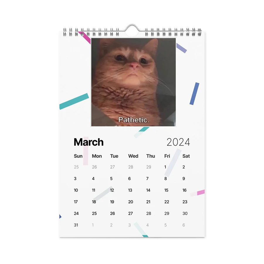 Wall Calendar (2024): Meme Cats product image (13)