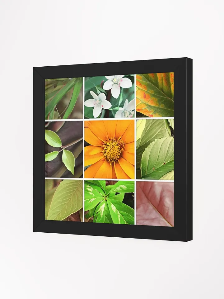 Framed High-Quality Matte Poster: Vibrancy in Bloom product image (10)