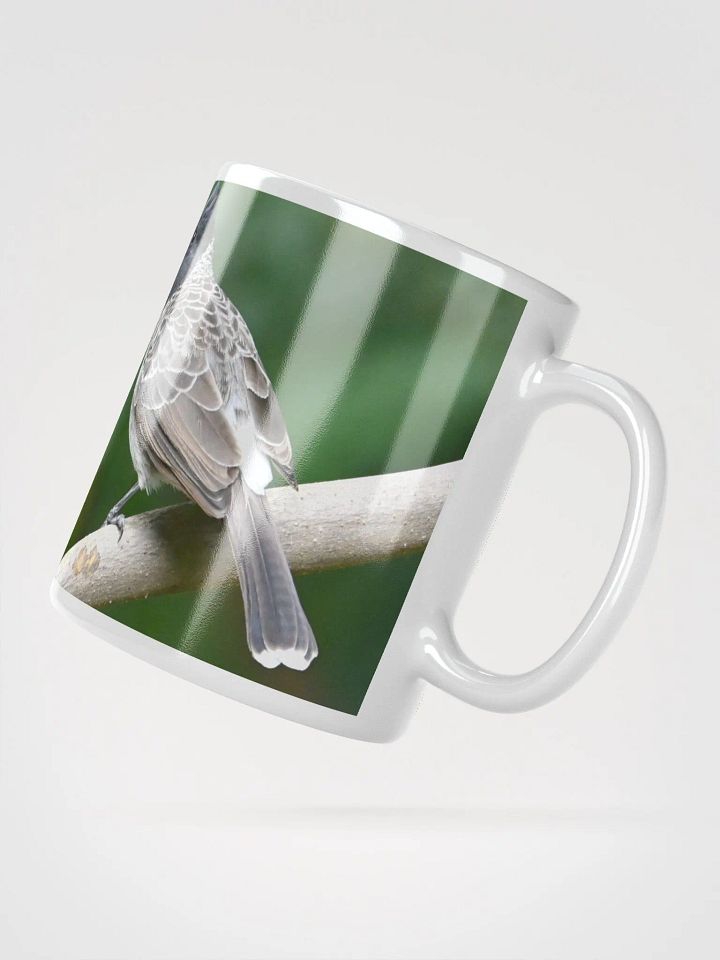 IUCAA Birds MUG product image (2)