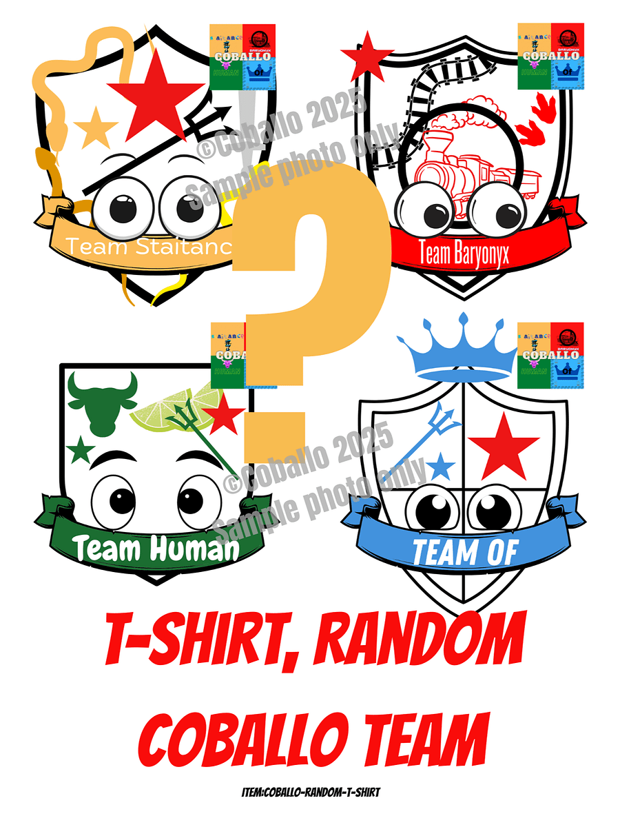 Coballo Random Team T-Shirt product image (1)