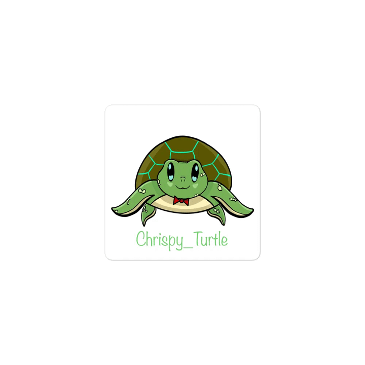 Turtle Magnet product image (1)