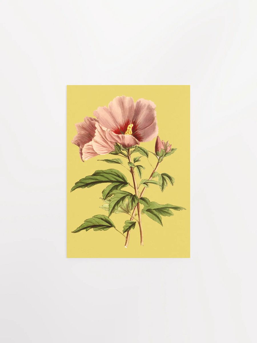 Pink Blossom Poster Print product image (1)