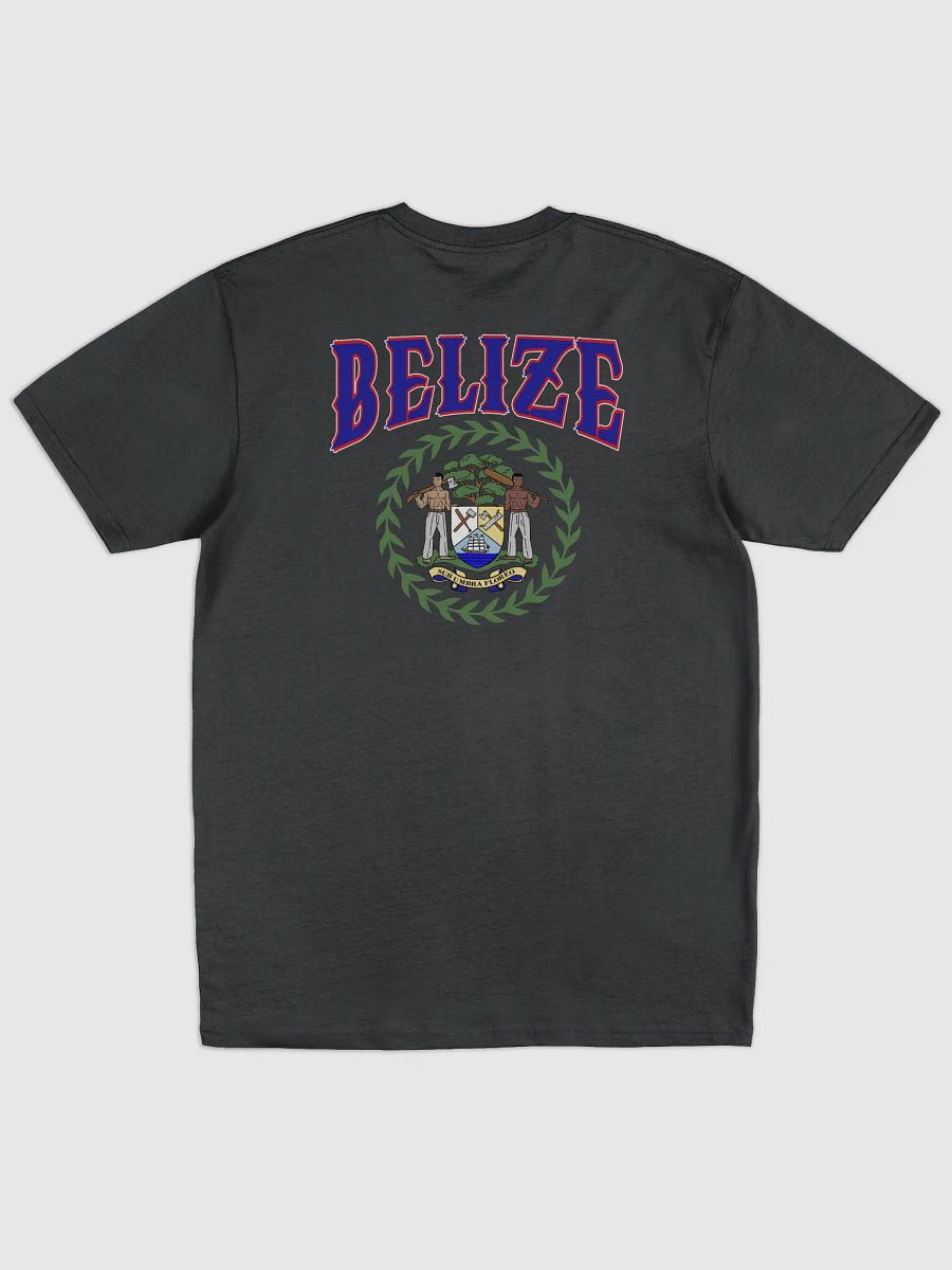 Team Belize Men's Premium Tee product image (2)
