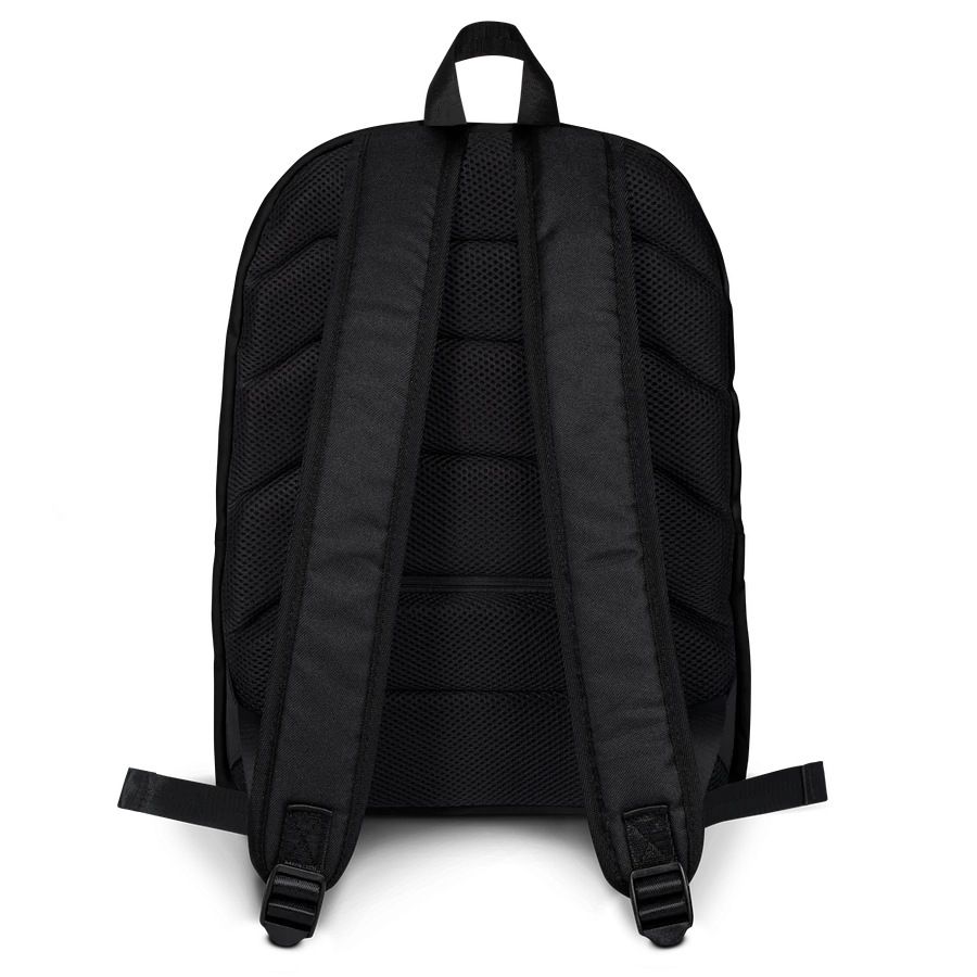 “Stay Frosty” Backpack product image (19)