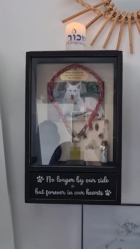 Four years since Freya left us. This part of the year used to be such a magical time, but now it is marred by what I can only...