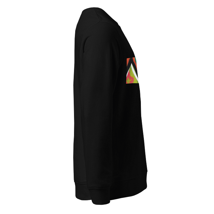 Bye Bye Limited Edition Unisex Jumper product image (2)