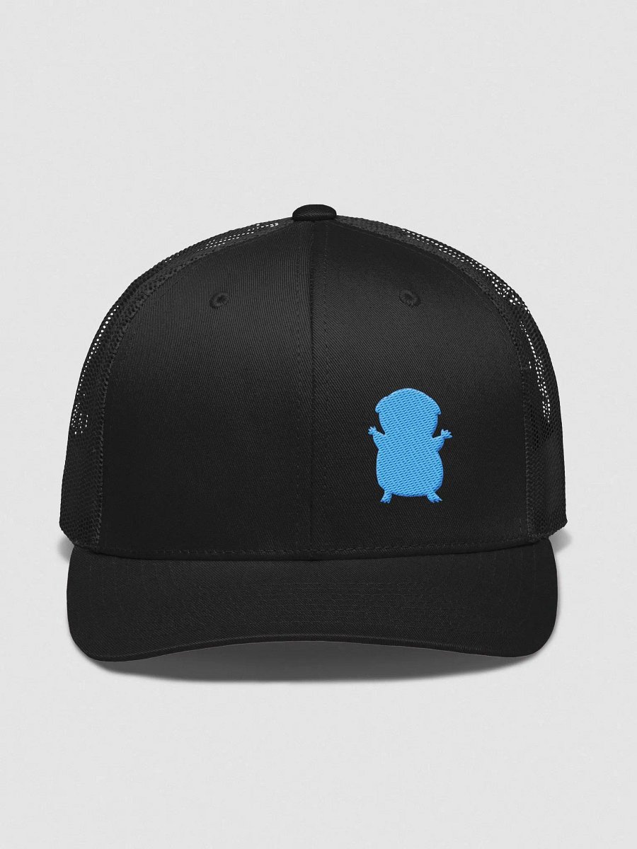 FIRESNOUT BLACK AND TEAL HAT product image (1)