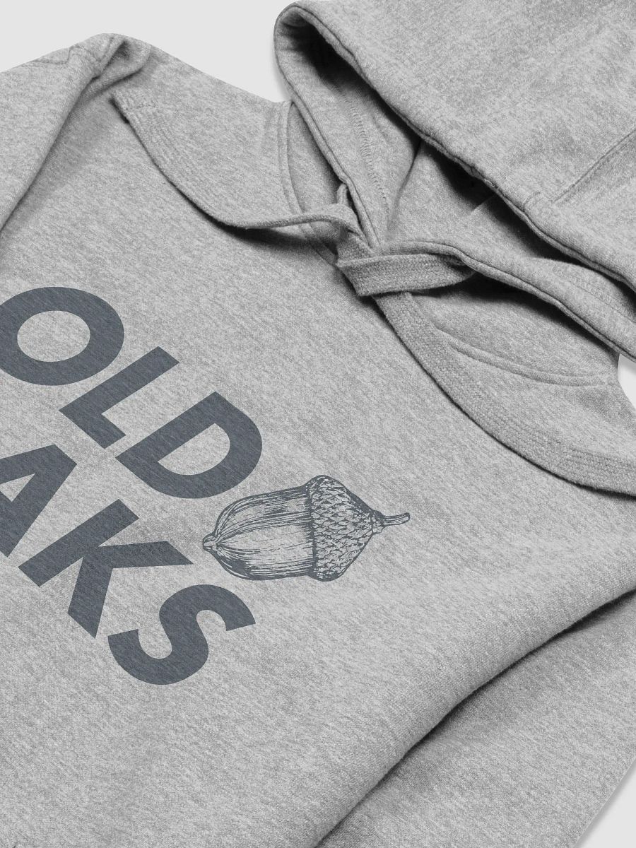 Old Oaks Hoodie product image (3)