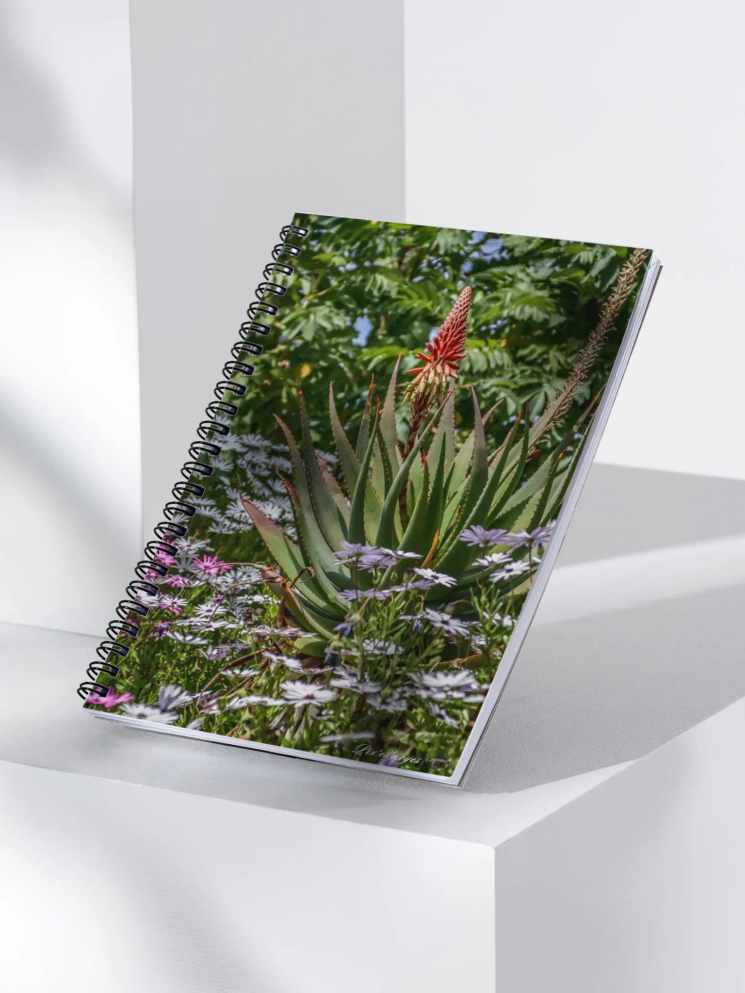 📓 Notebook Collection PURE – Jardin du Rayol – Aloe & Marguerites du Cap product image (3)