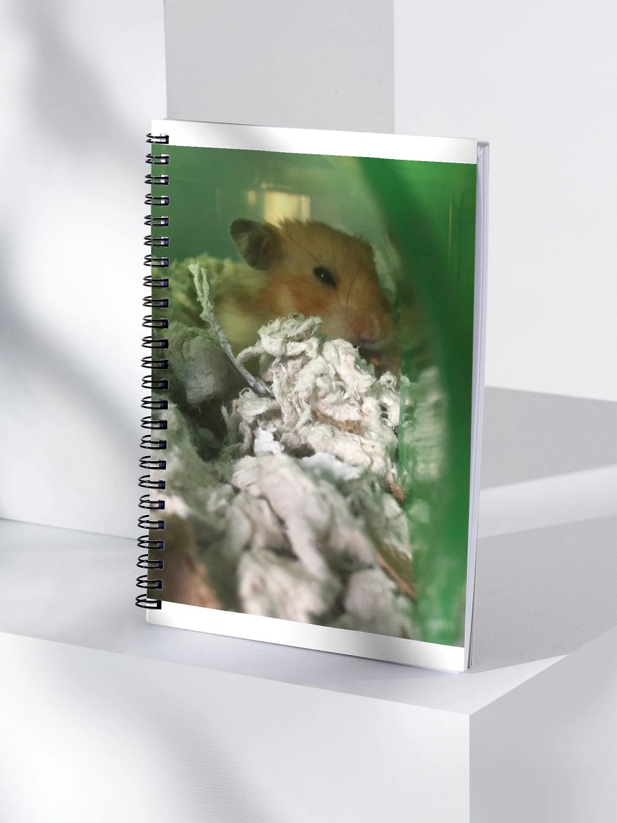 Nugget Notebook product image (4)