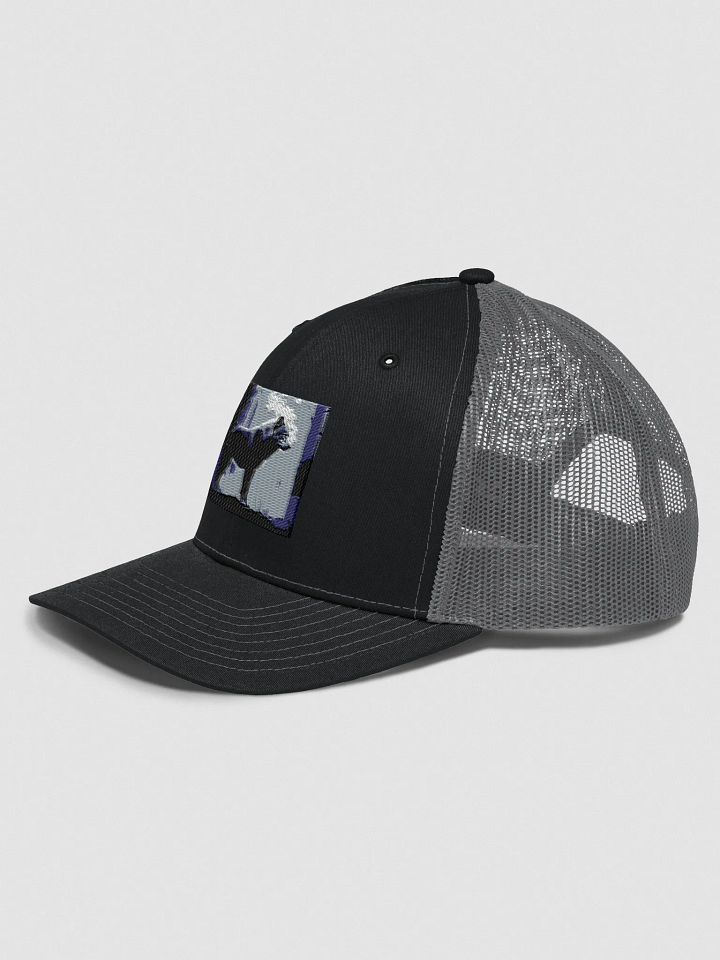 beautiful cap with a wolf logo product image (2)