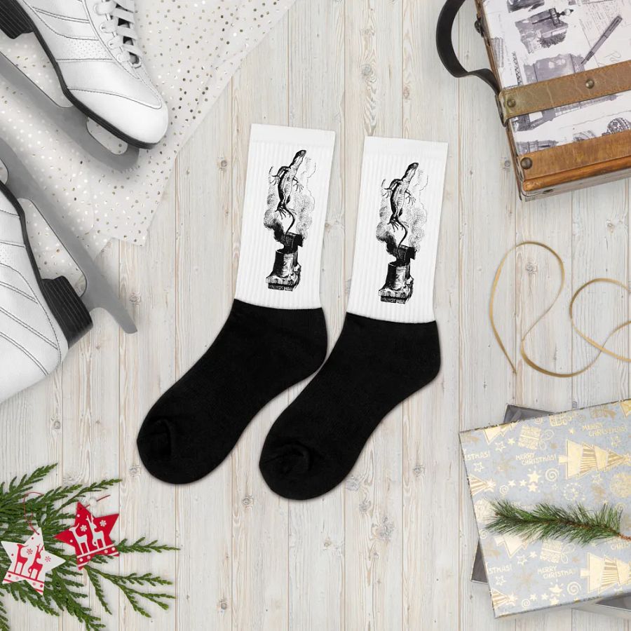Chimney Lizard Black Foot Socks - Alice Collection product image (8)