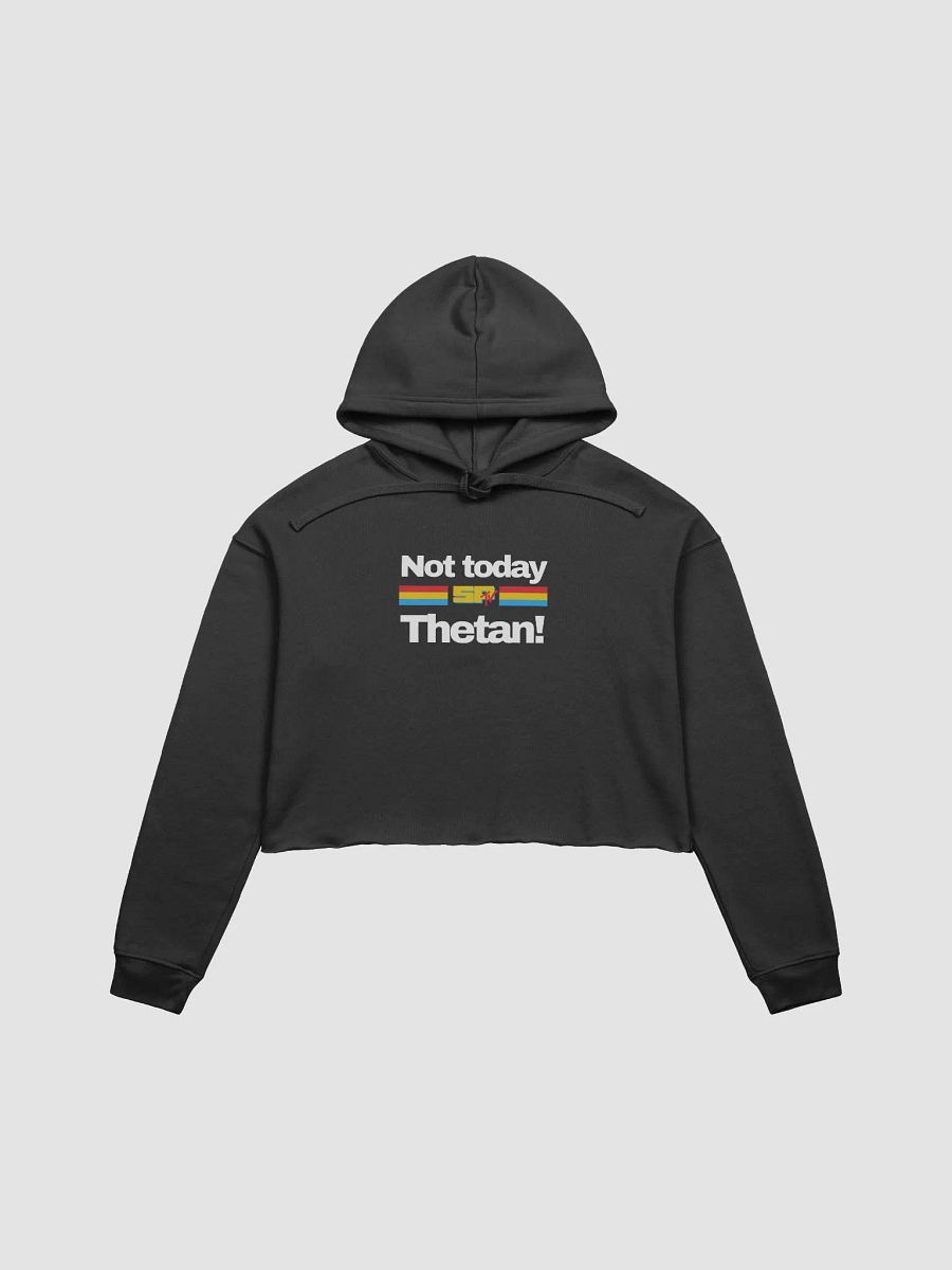 Not Today! SPTV Cropped Fleece Hoodie product image (1)