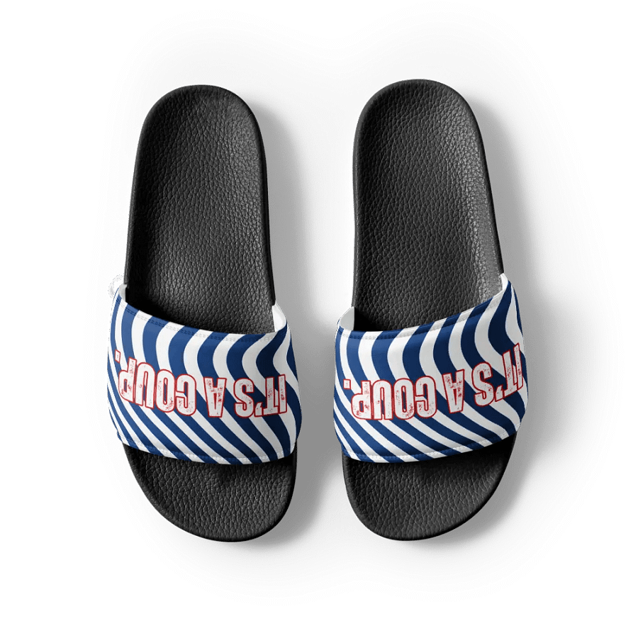 Resistors, It's a Coup, Men's Slides product image (3)