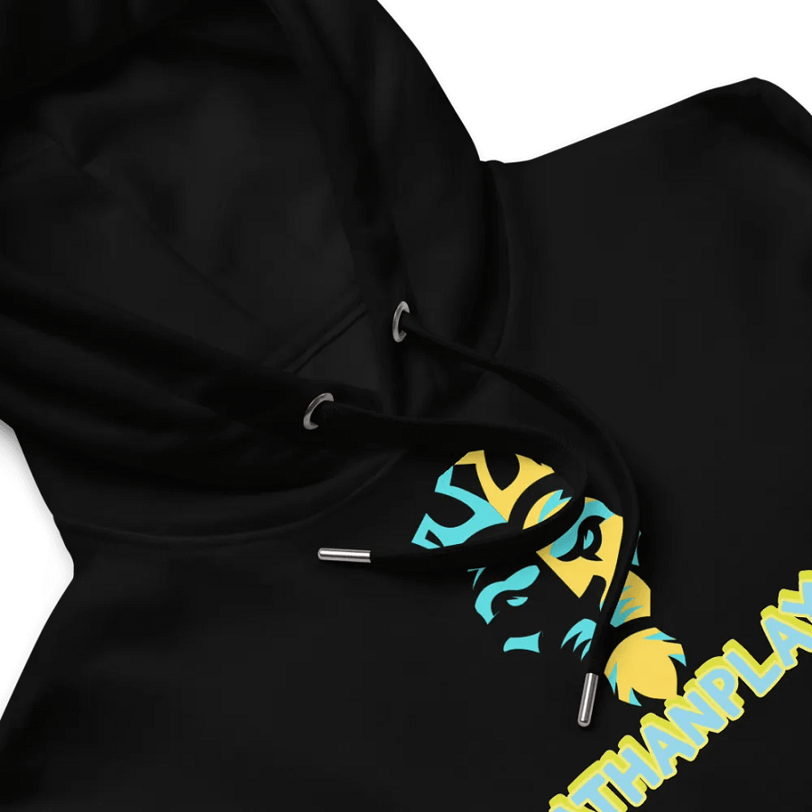 Nathanplays product image (11)