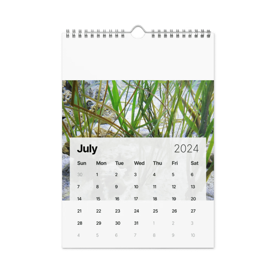 new years product image (19)