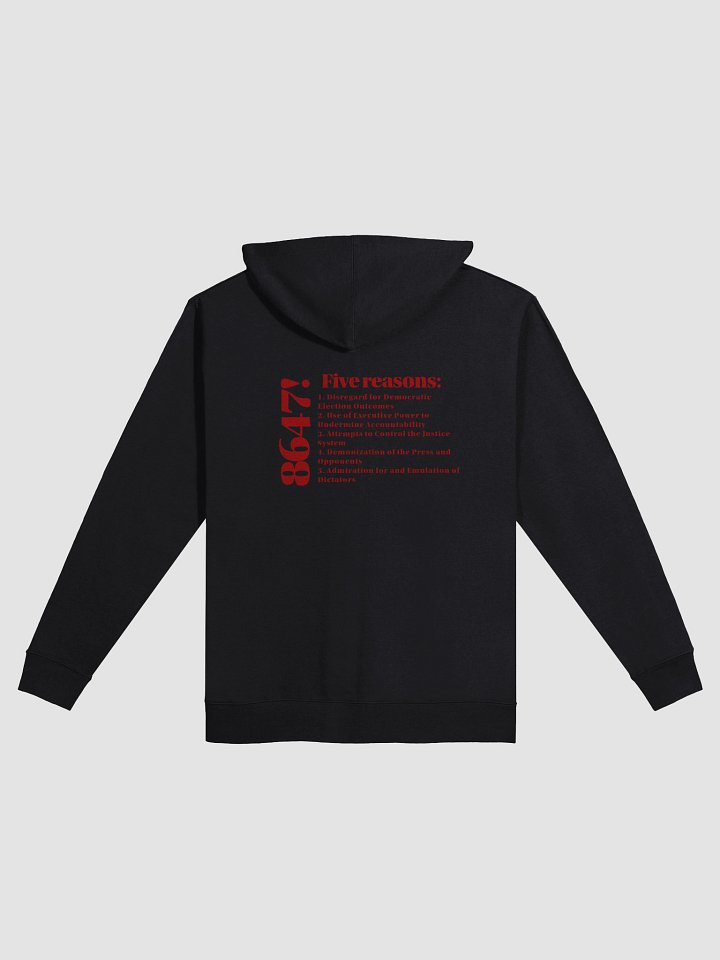 8647 Zip-Up Hoodie product image (8)