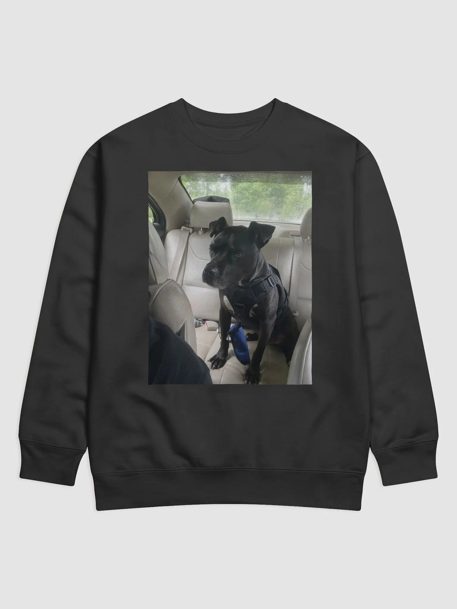 long sleeve product image (1)