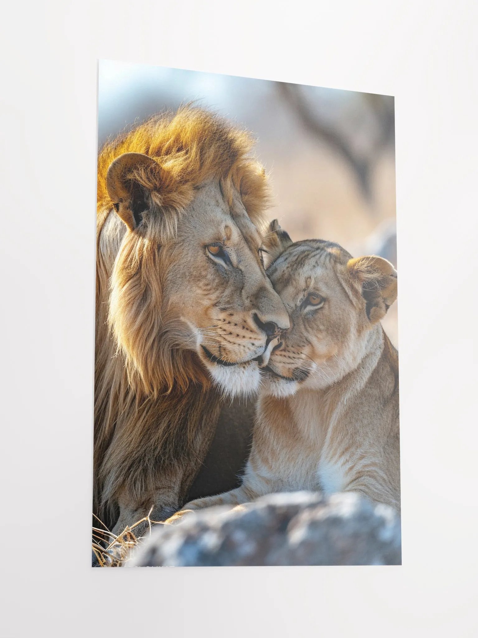 Lion's Family Time: Pride's Tender Moments product image (4)
