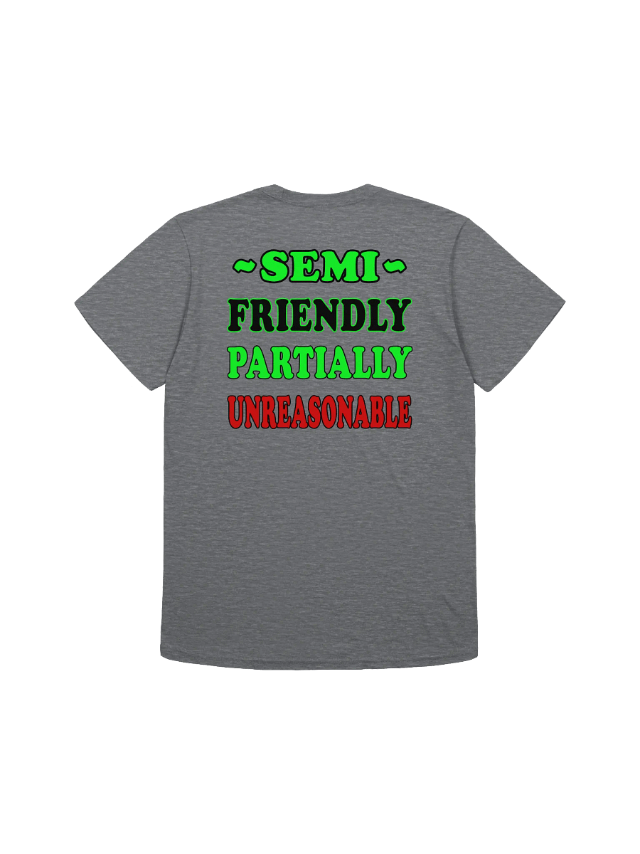 SEMI FRIENDLY TEE product image (4)