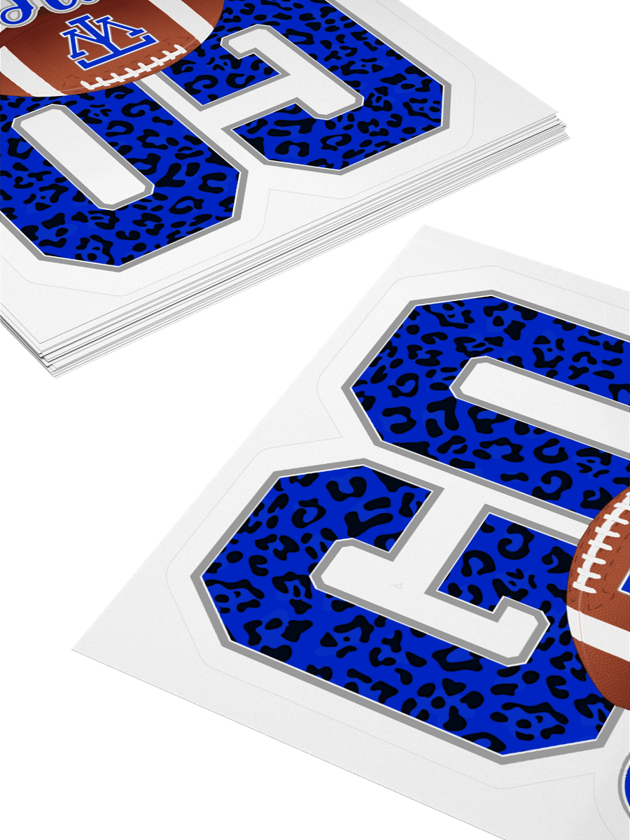 TW Pioneers Football Leopard Sticker product image (4)