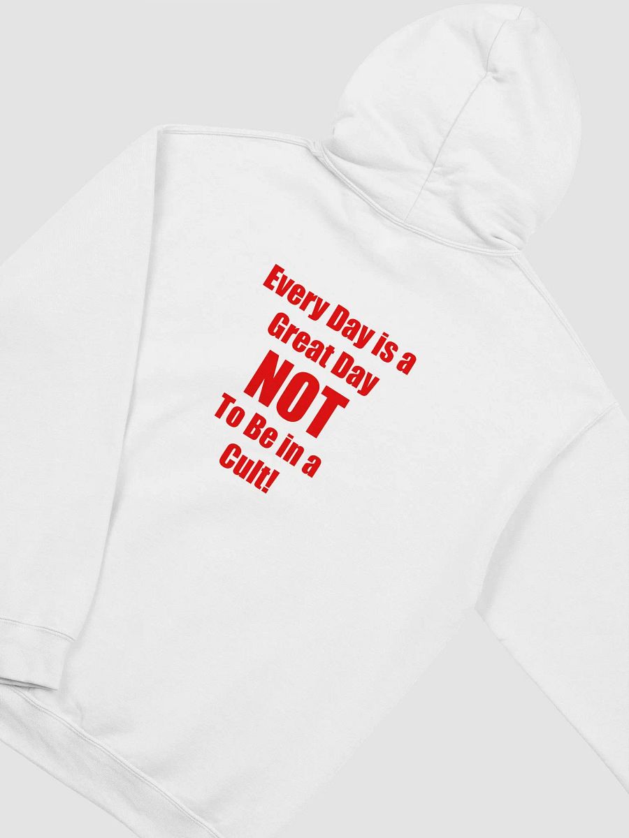SPTV Foundation Classic Hoodie in White product image (4)
