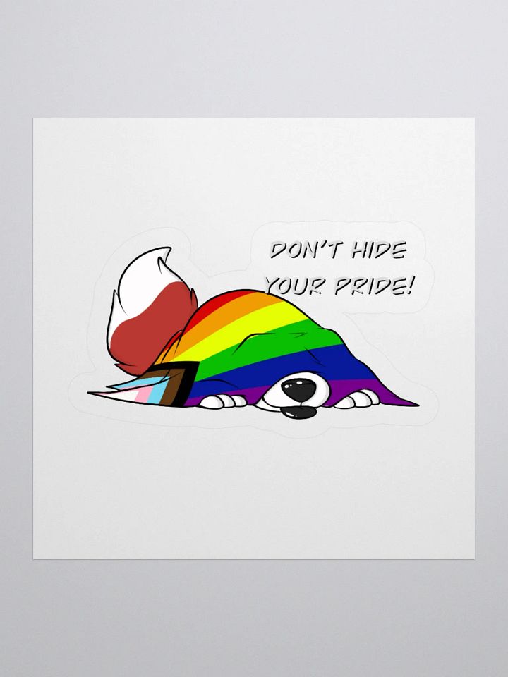 Dont Hide YOUR PRIDE product image (3)
