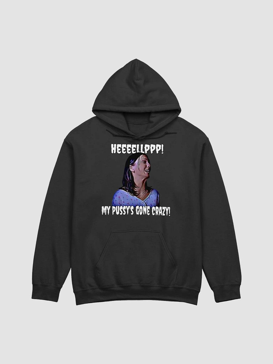 Help! my pussy's gone crazy! Gildan Classic Hoodie product image (1)