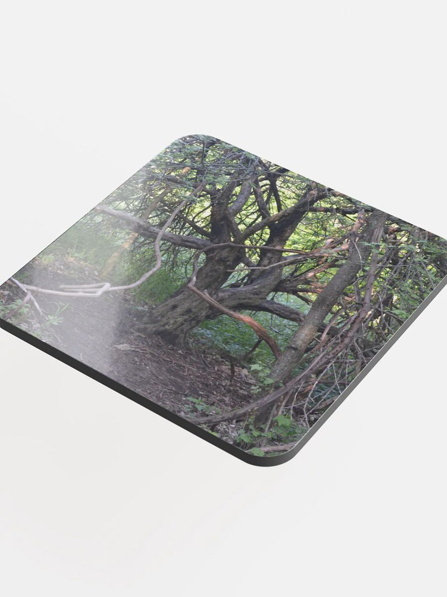 Branch Tree Cork Coaster product image (4)