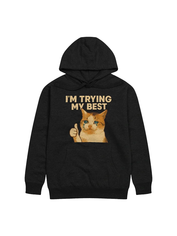I'm Trying My Best Funny Crying Cat Meme Hoodie product image (1)