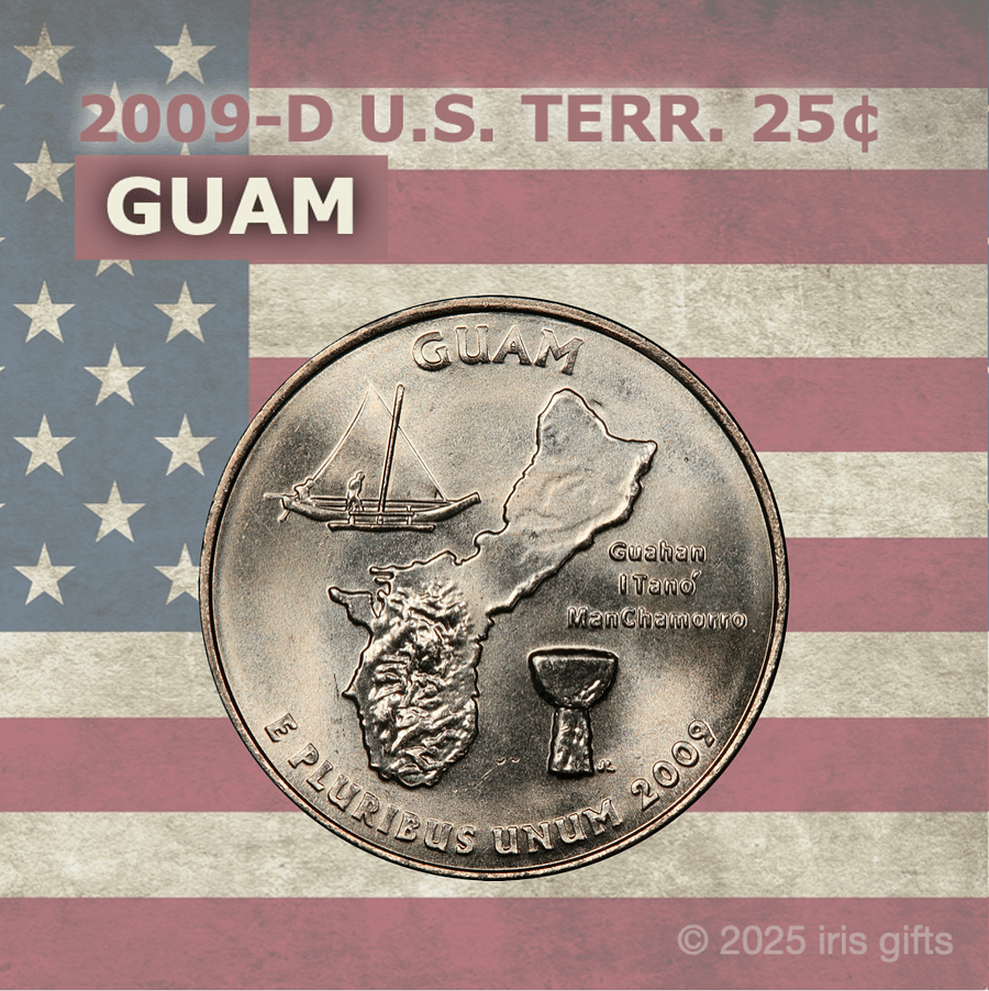 1999-2009 / Denver / State & US Territories Quarters / Printable Picture Cards product image (4)