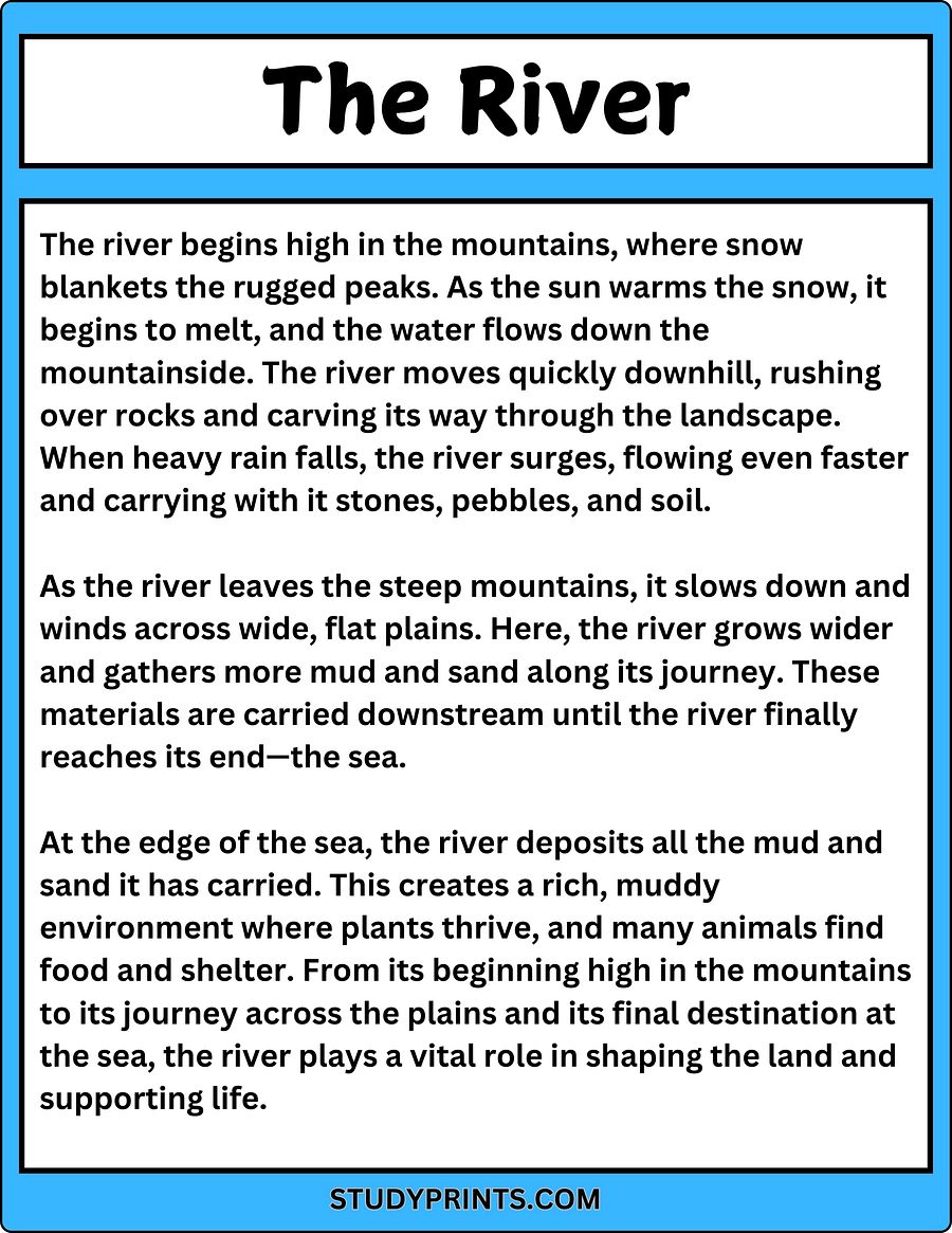 The River Reading Passage with Comprehension Questions product image (2)