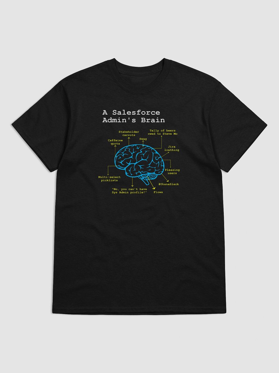 A Salesforce Admin’s Brain product image (3)