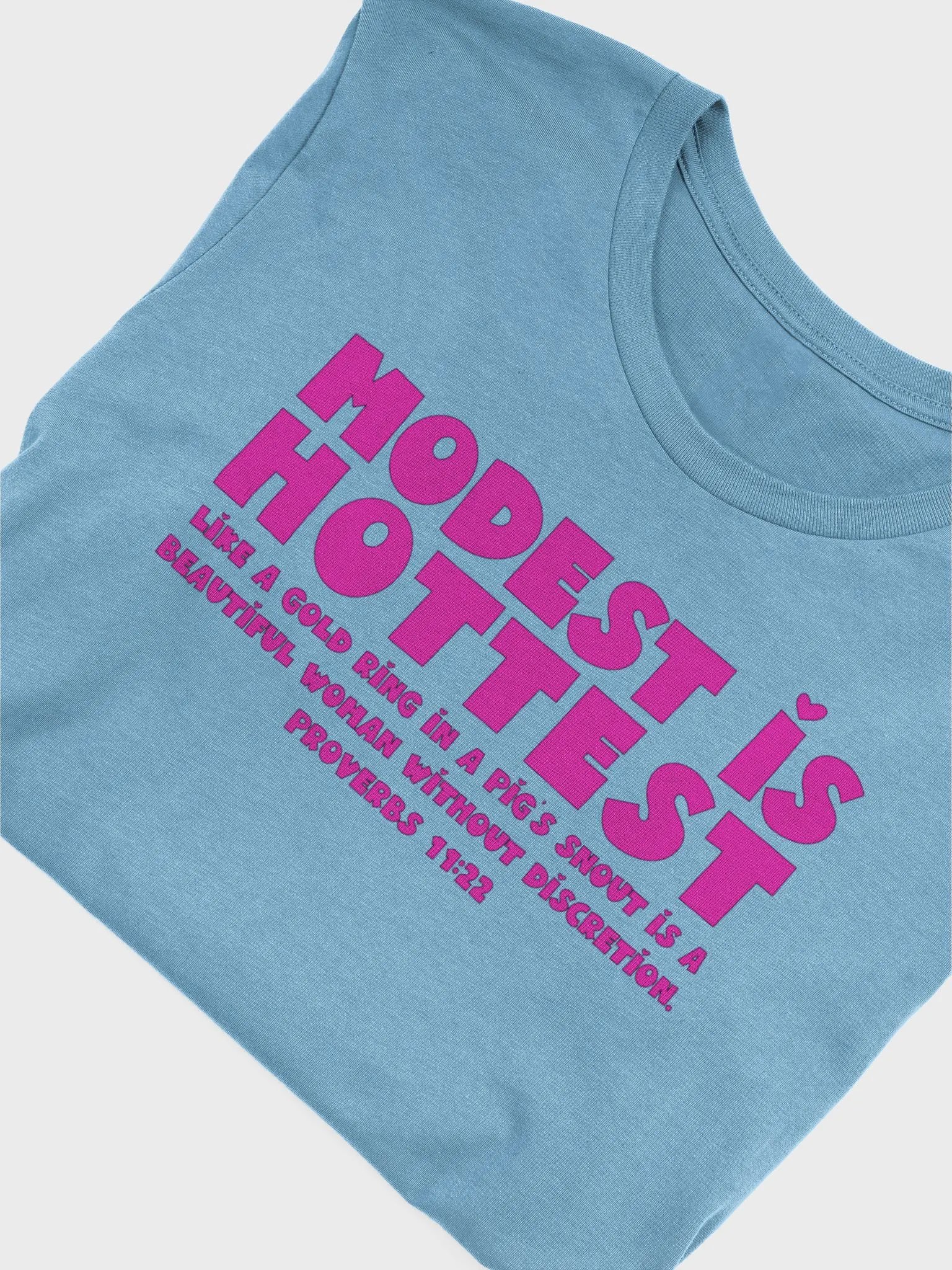 Modest is Hottest T-shirt product image (5)