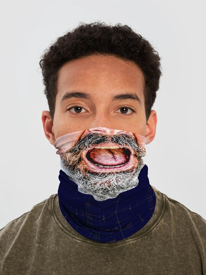 Dan beard mask product image (1)
