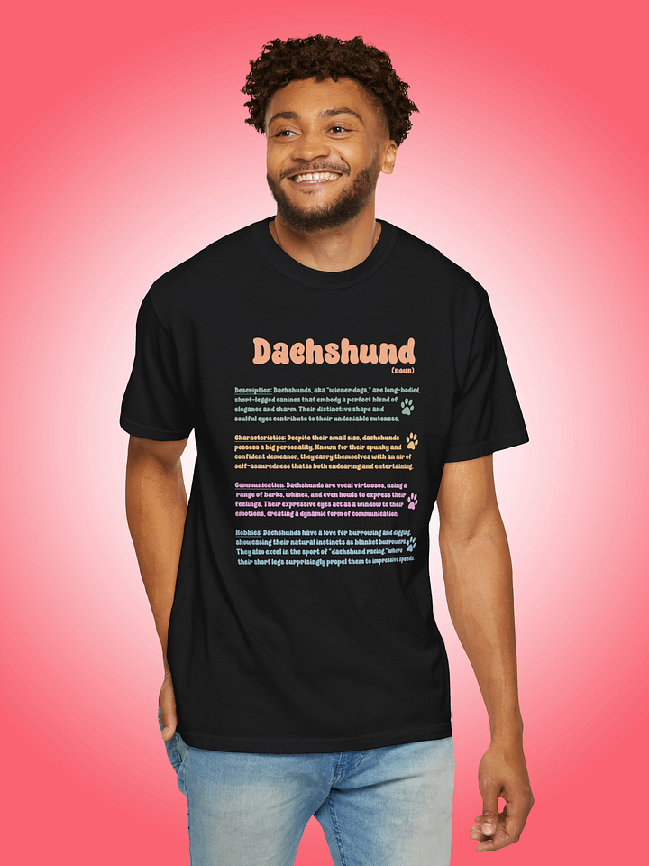 Definition of a Dachshund product image (1)