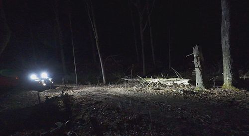 Night time in the George Washington National Forest.
#jeep #jeepJK #rubiconrecon #gwnf #offroad #overland #nightwheeling #jee...